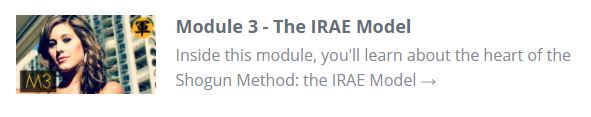 shogun method irae model