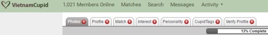 empty profile on Vietnam Cupid