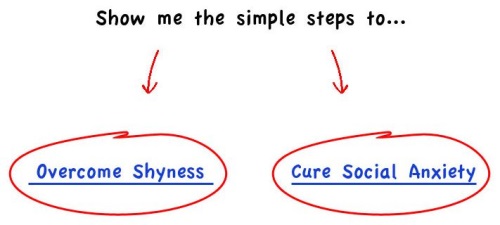 shyness and social anxiety system sales page