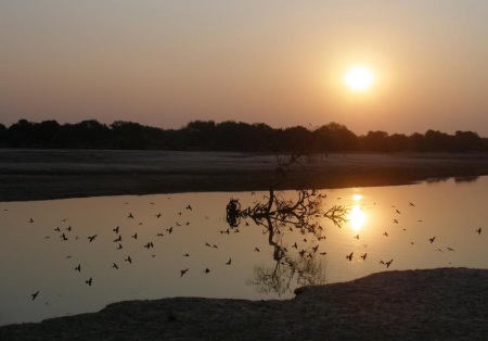 zambia