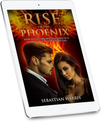 rise of the phoenix tablet cover